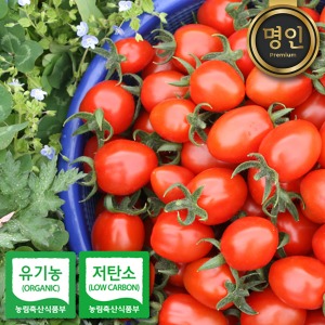 유기농 방울 토마토 저탄소 인증 프리미엄 1kg 2kg / 명인의 과일